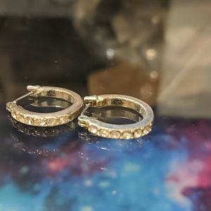 Horseshoe earrings silver color clear stone